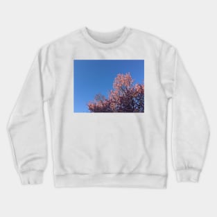 Cherry Blossom Sky Crewneck Sweatshirt